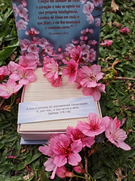 Preciosas Promessas de Deus | mod. NS2 CEREJEIRAS