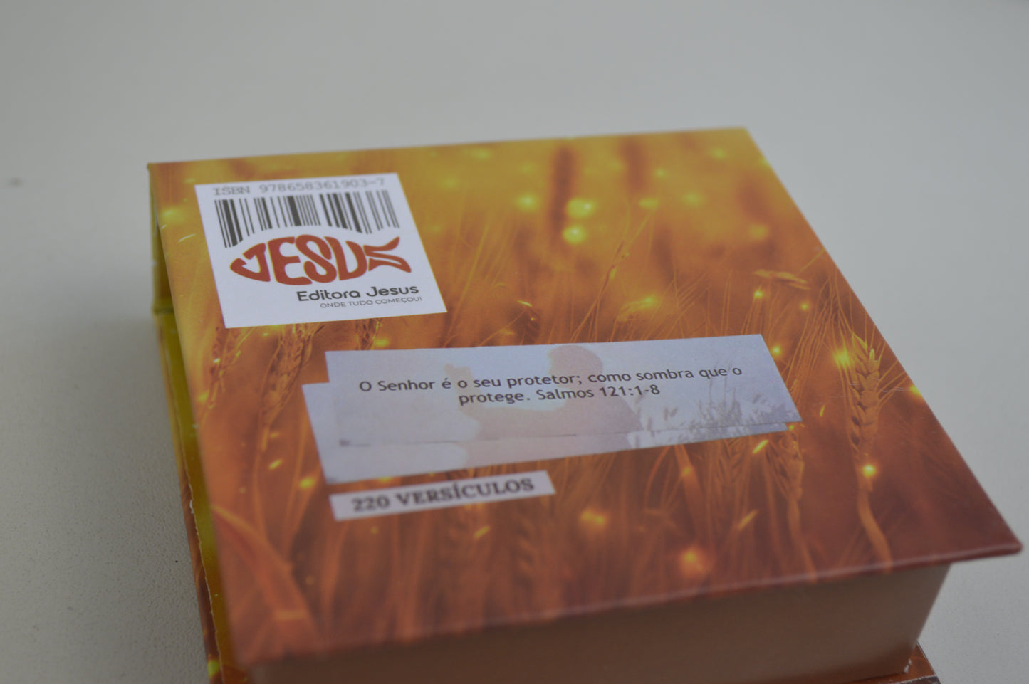 PRECIOSAS PROMESSAS DE DEUS | Capa Dura | com 220 versículos e Letras grandes | NS4 LEÃO DOURADO