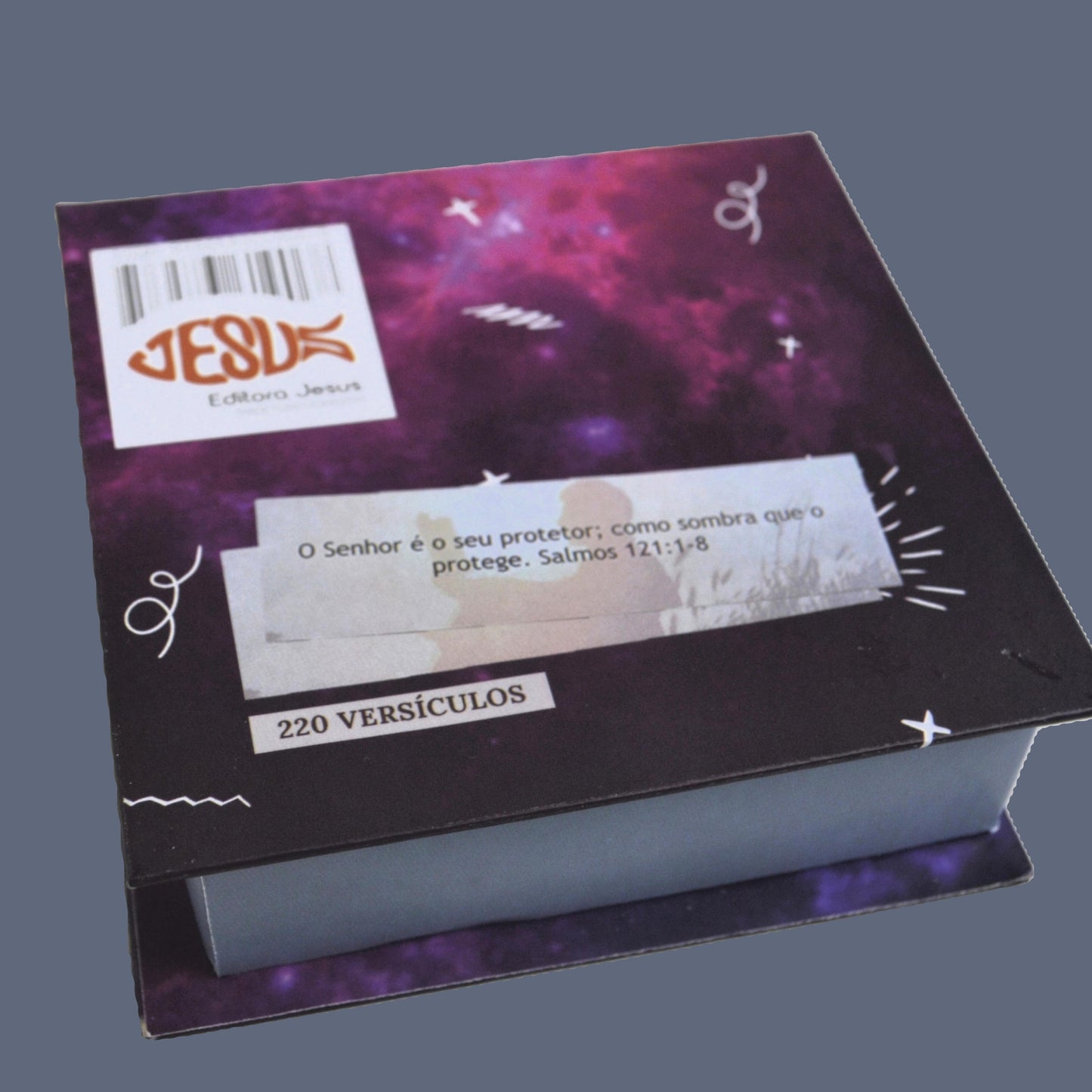 PRECIOSAS PROMESSAS DE DEUS | Capa Dura | com 220 versículos e Letras grandes | NS5 CRIAÇÃO