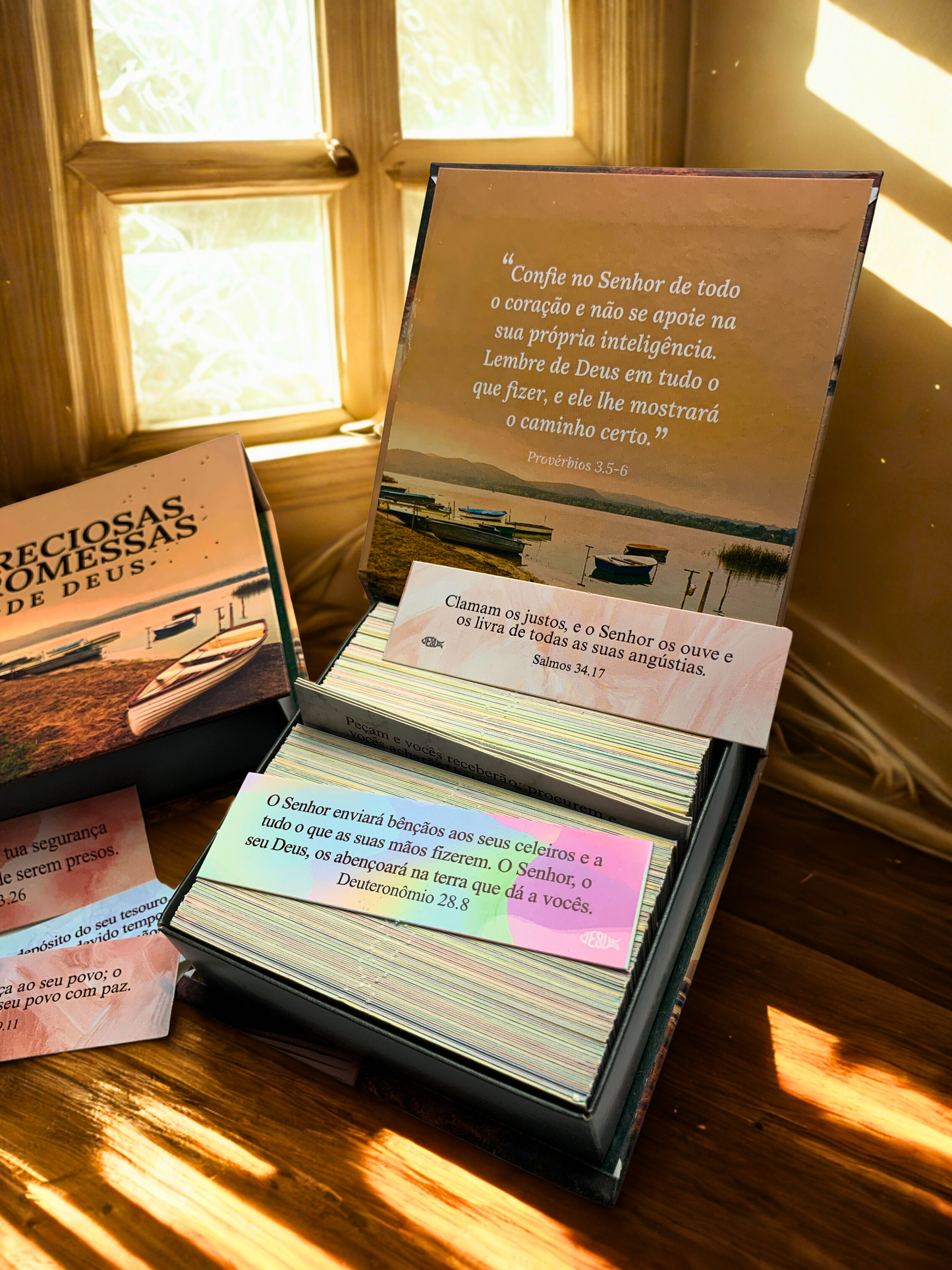 PRECIOSAS PROMESSAS DE DEUS | Capa Dura | com 220 versículos e Letras grandes | NA-5 MEU BARQUINHO