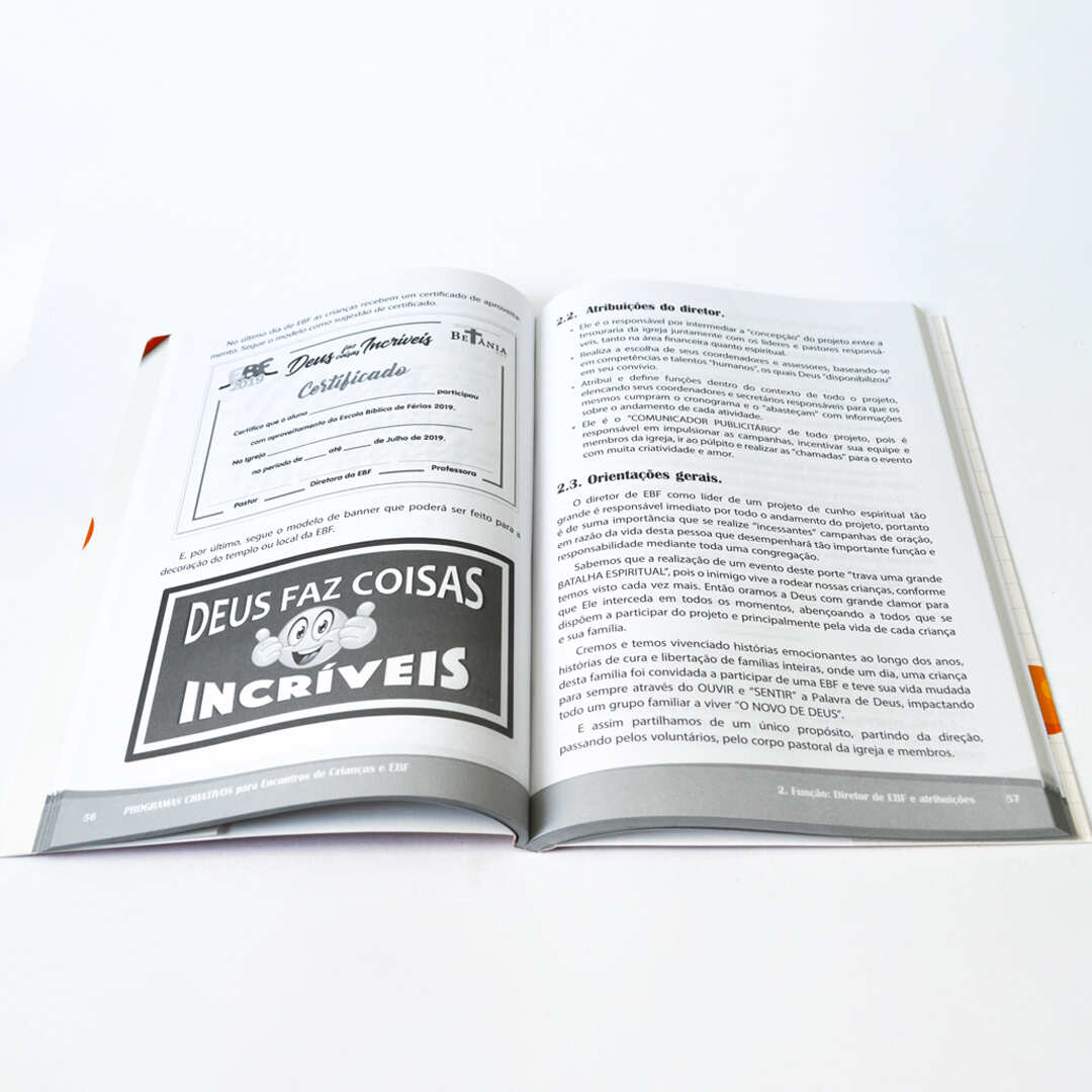 PROGRAMAS CRIATIVOS PARA ENCONTRO DE CRIANÇAS & EBF