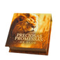 PRECIOSAS PROMESSAS DE DEUS | Capa Dura | com 220 versículos e Letras grandes | NS4  LEÃO DOURADO