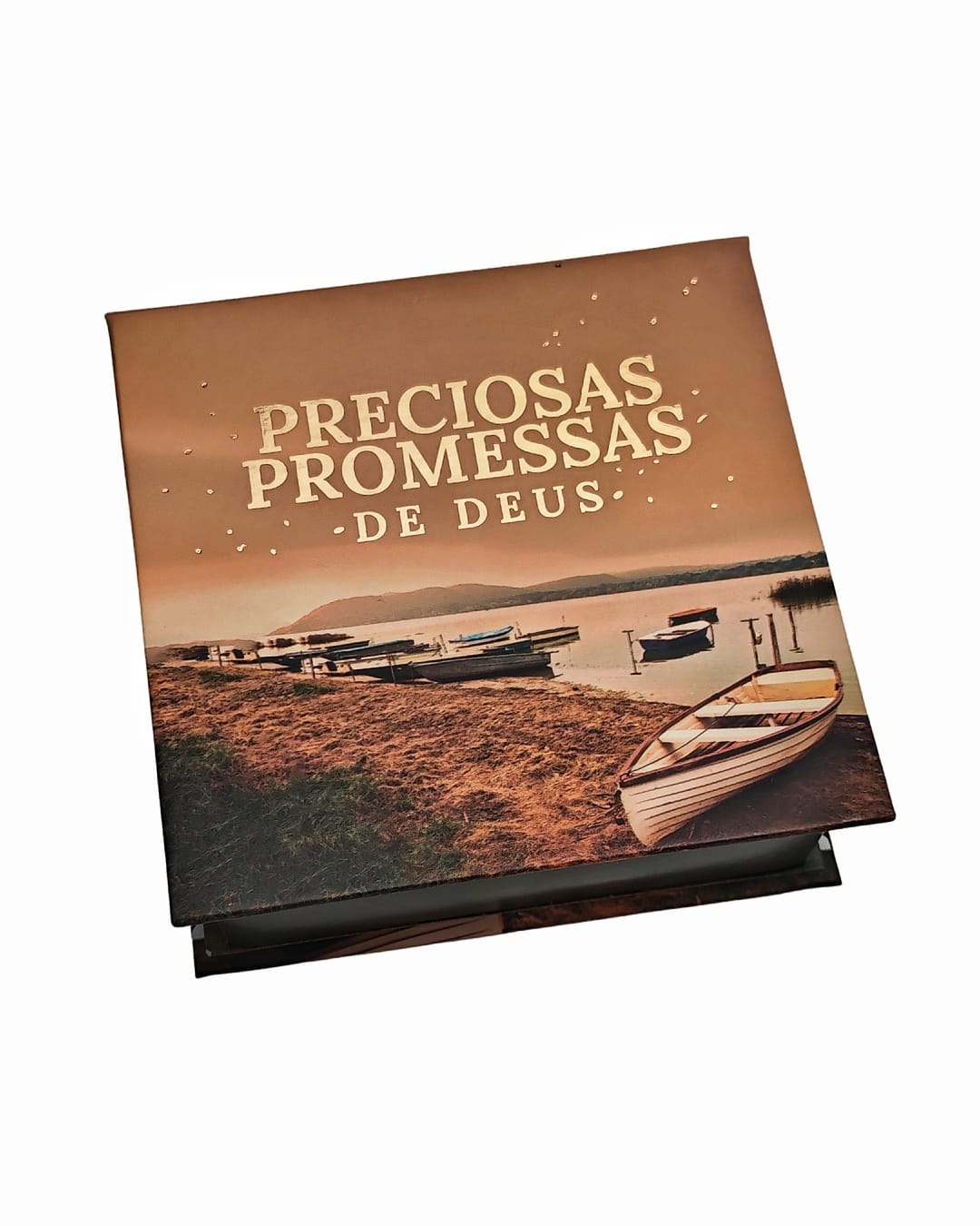 PRECIOSAS PROMESSAS DE DEUS | Capa Dura | com 220 versículos e Letras grandes | NA-5 MEU BARQUINHO