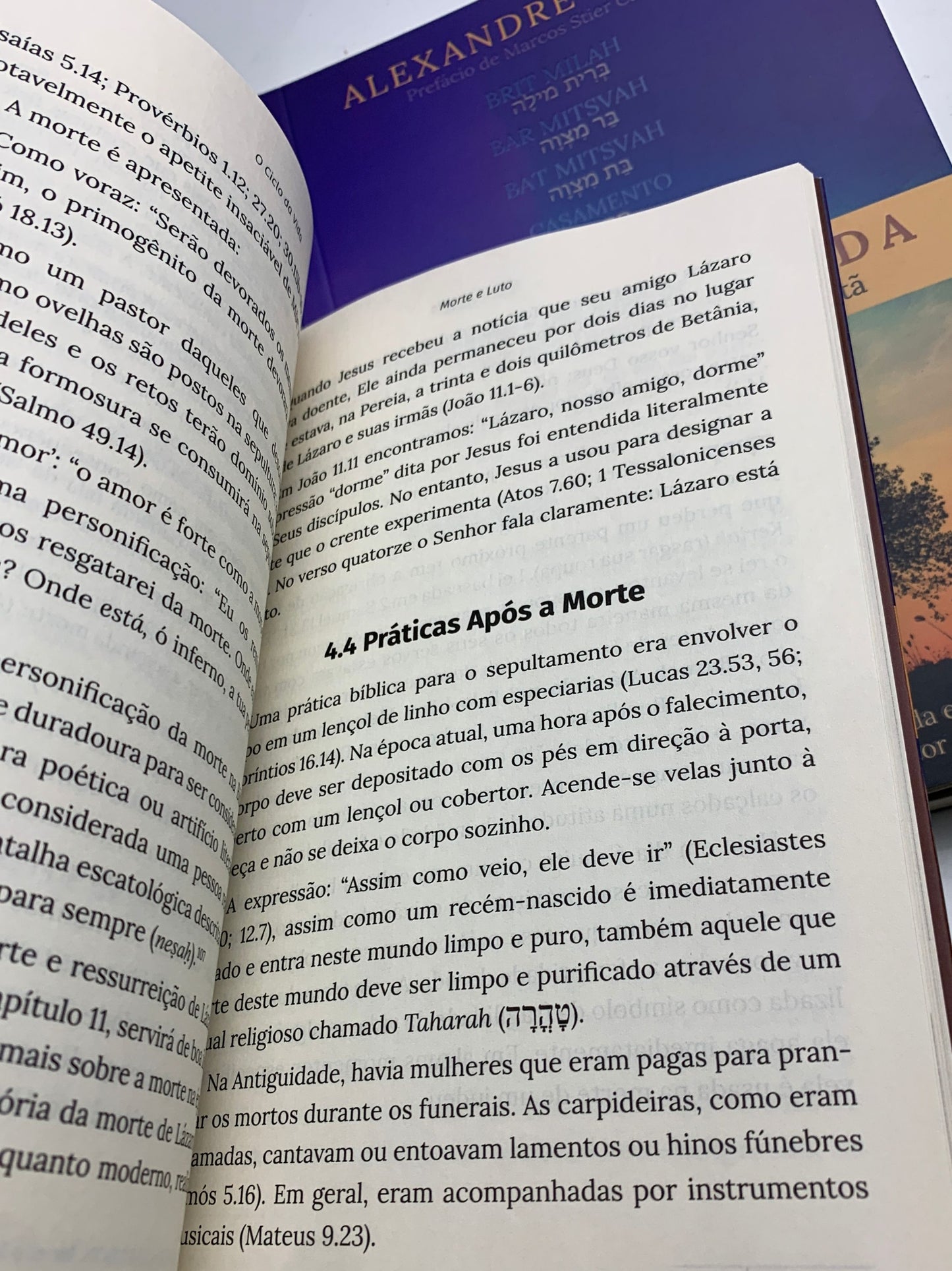 O Ciclo da Vida