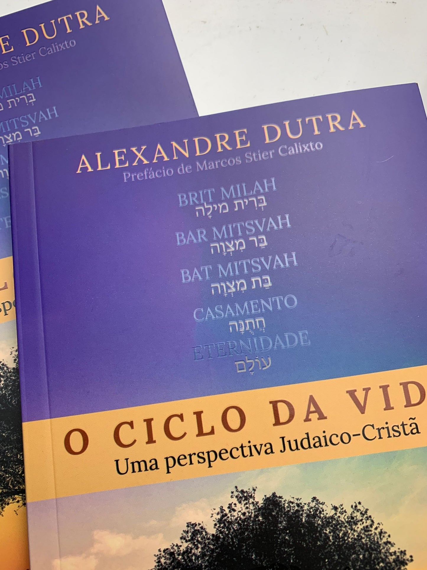 O Ciclo da Vida