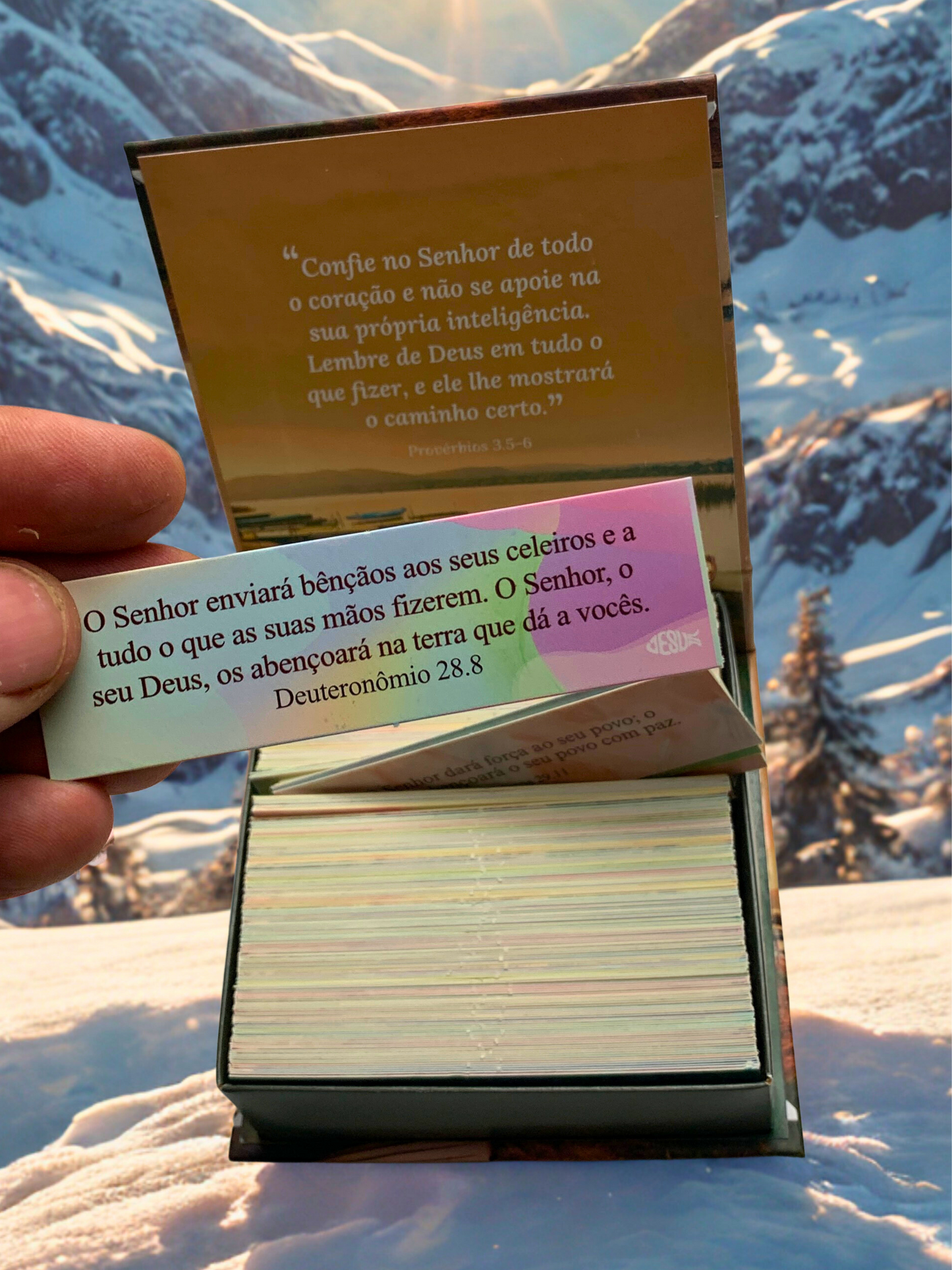 PRECIOSAS PROMESSAS DE DEUS | Capa Dura | com 220 versículos e Letras grandes | NA-5 MEU BARQUINHO