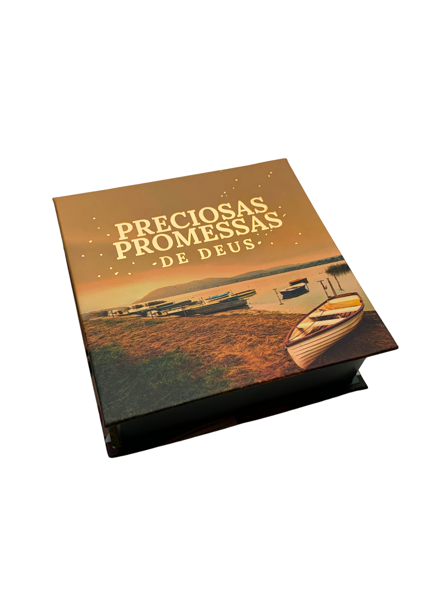 PRECIOSAS PROMESSAS DE DEUS | Capa Dura | com 220 versículos e Letras grandes | NA-5 MEU BARQUINHO