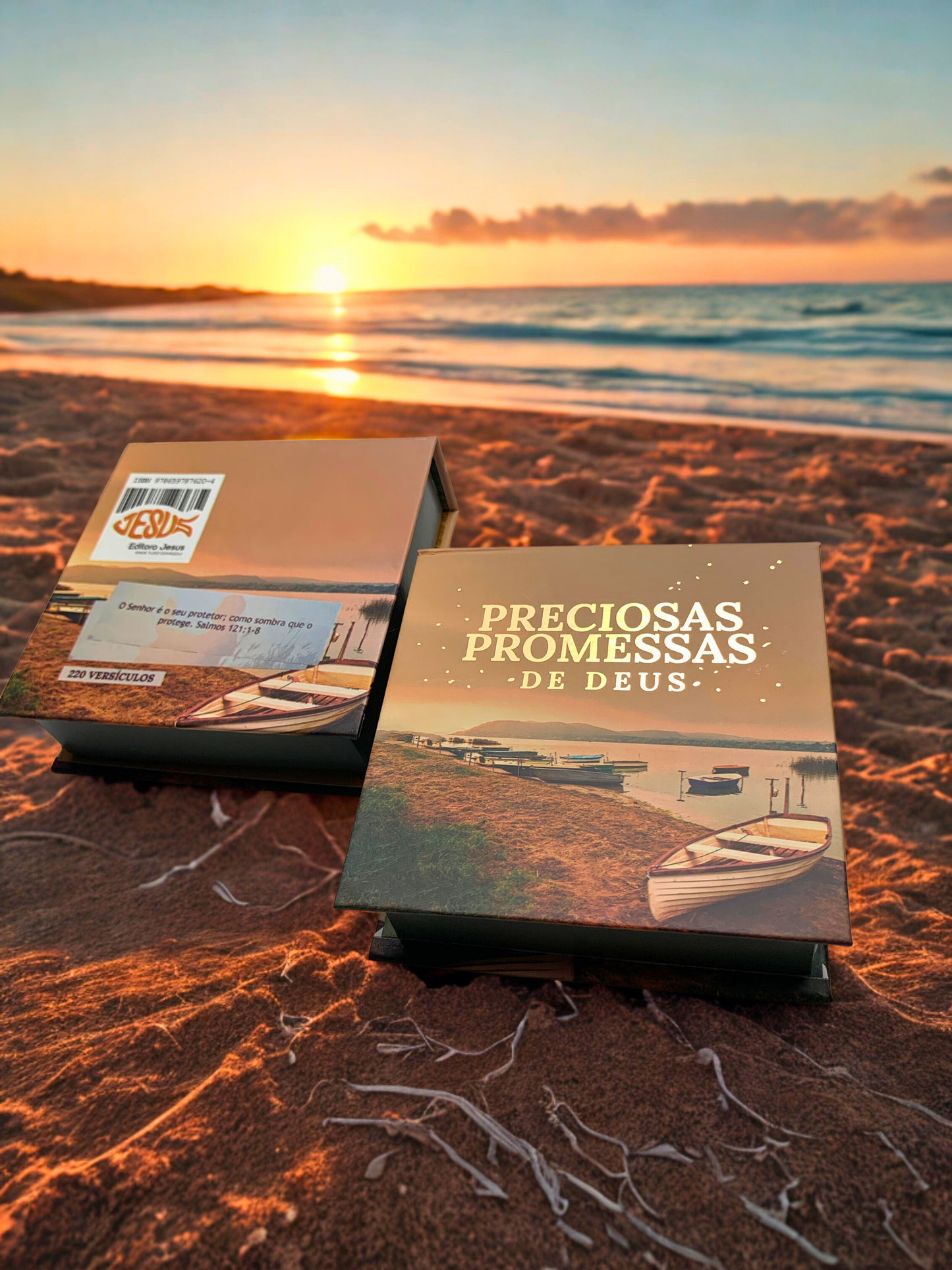 PRECIOSAS PROMESSAS DE DEUS | Capa Dura | com 220 versículos e Letras grandes | NA-5 MEU BARQUINHO